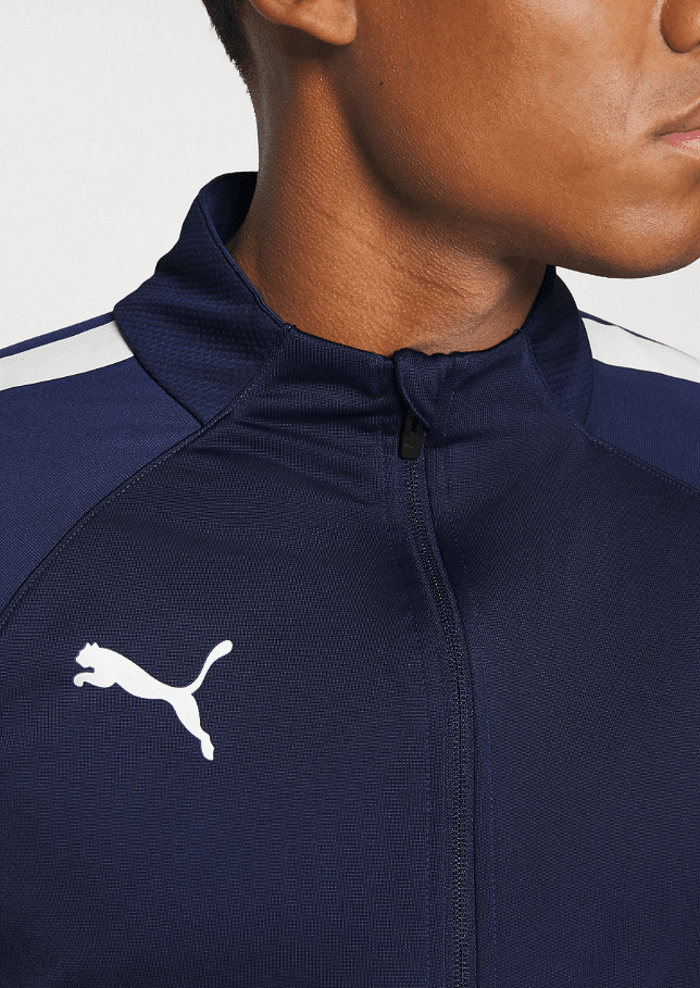 Мъжки екип Puma TeamLIGA Tracksuit