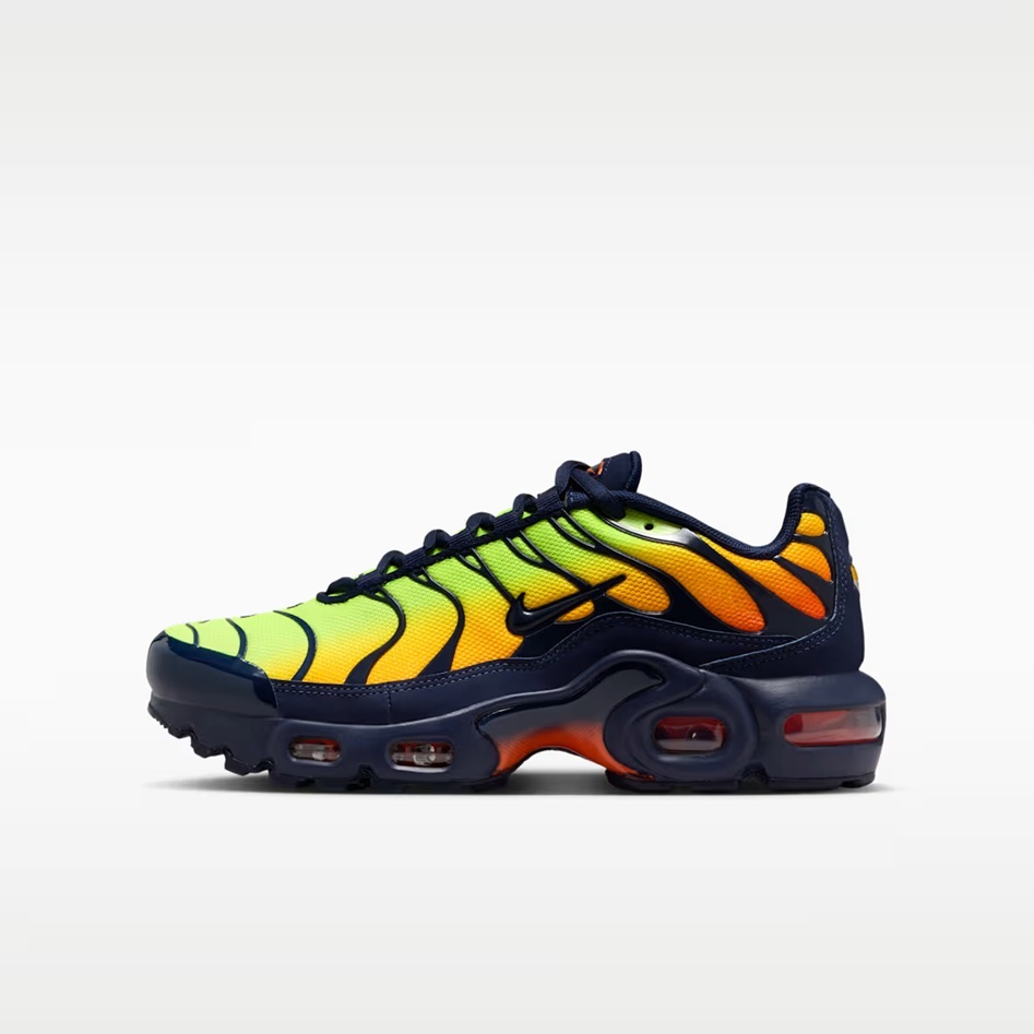 Юношески маратонки Nike Air Max Plus (GS)